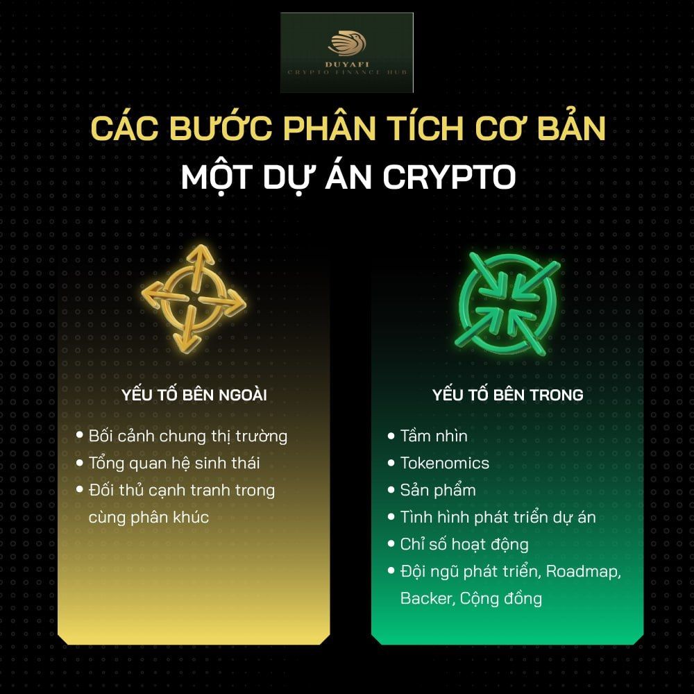 Phân tích cơ bản một dự án crypto